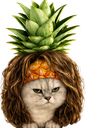 :chananas_cheveux: