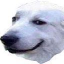 LaBiteDuChien