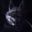 Photo de profil de Thedead
