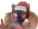 :cato: