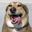 Photo de profil de LeakyDoggy