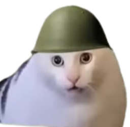 :Sergent_minou: