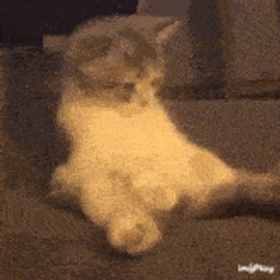 :Chat_ki_bande: