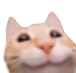 :Chat_kisouri: