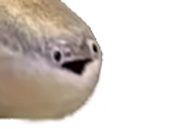 :poissonteube: