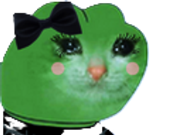 :Chat_fille: