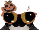 :chat_lunette_halloween2: