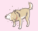 :chien_secoue: