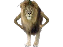 :lionnrv: