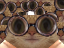 :chat_lunettes_stef: