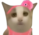 :OUAIII:
