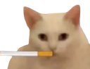 :HC_fumeur: