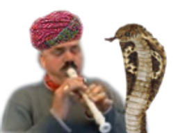 :risiflute_serpent: