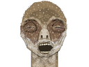 :cadavre_pueranus: