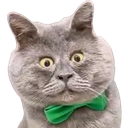 :chaboule: