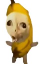:zepavrai: