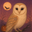 Photo de profil de Chouette