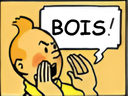 :tintinbois: