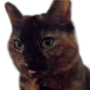 :Chat_petite_langue: