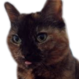 :Chat_petite_langue: