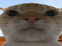 :chakrugir: