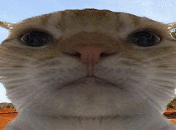 :chakrugir:
