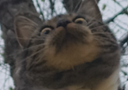 :chat_wtf: