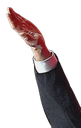 :ElonArm5:
