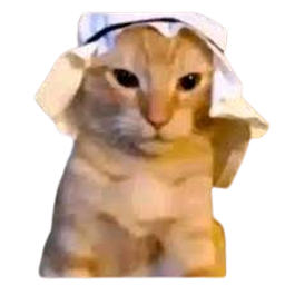 :turban: