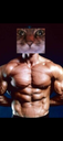 :Chat_zoom_ASTD1: