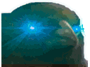 :Corbeau_3:
