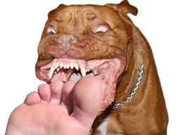 :Feetdogo: