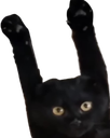 :ohmaiscpasvrai: