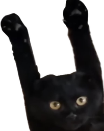 :ohmaiscpasvrai: