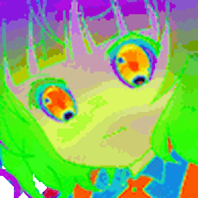 Lolitler
