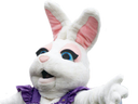 :lapin_mascotte: