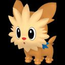 :Ponchiot: