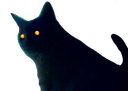 :chatfdv3: