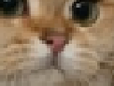 :sodium_zoom2: