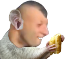 :rat_dz: