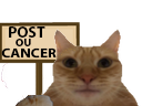 :chatcancer: