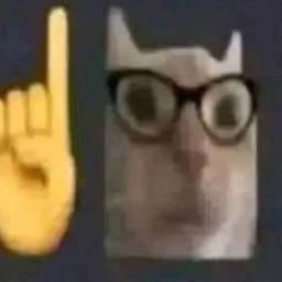 :Chatintello: