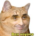 :chat_zemmour_: