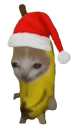 :Chanane_de_Noel:
