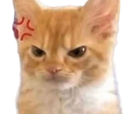 :Vnr: