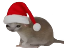 :chasouris2noel: