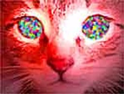 :eden_drogue: