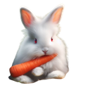 :Lapin_blanc: