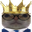 Photo de profil de ChatMonarque
