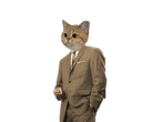 :sodium_costard: